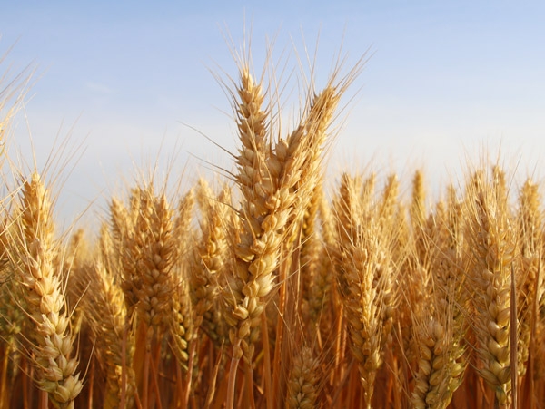 菏泽市k8凯发国际化工有限公司